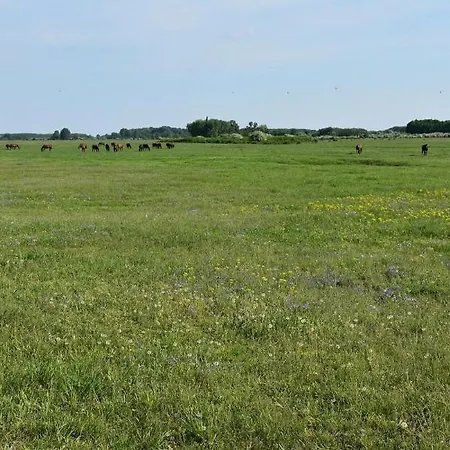 Akac Tanya Tatil Evi Moricgat