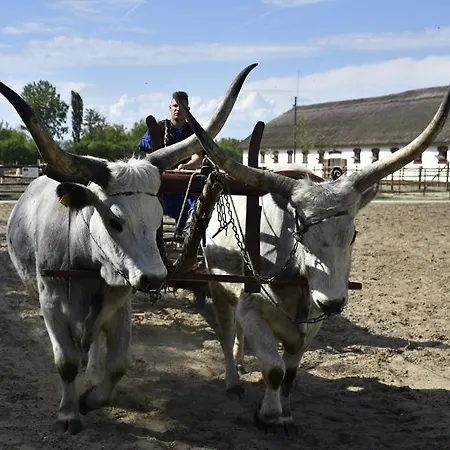 Akác Tanya Сasa de vacaciones