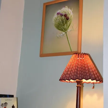 Tatil Evi Akac Tanya Moricgat